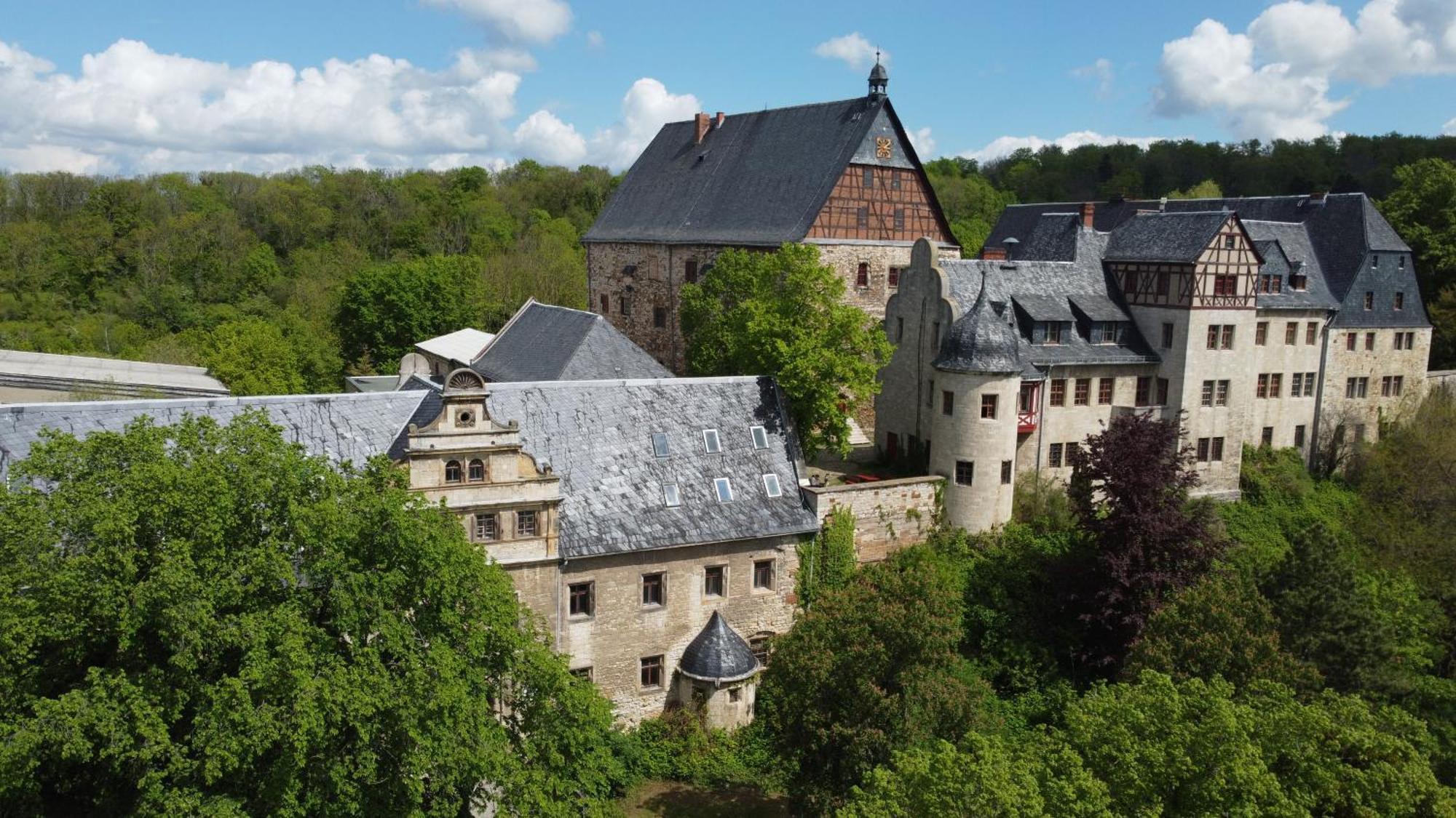 Schloss Beichlingen Zewnętrze zdjęcie