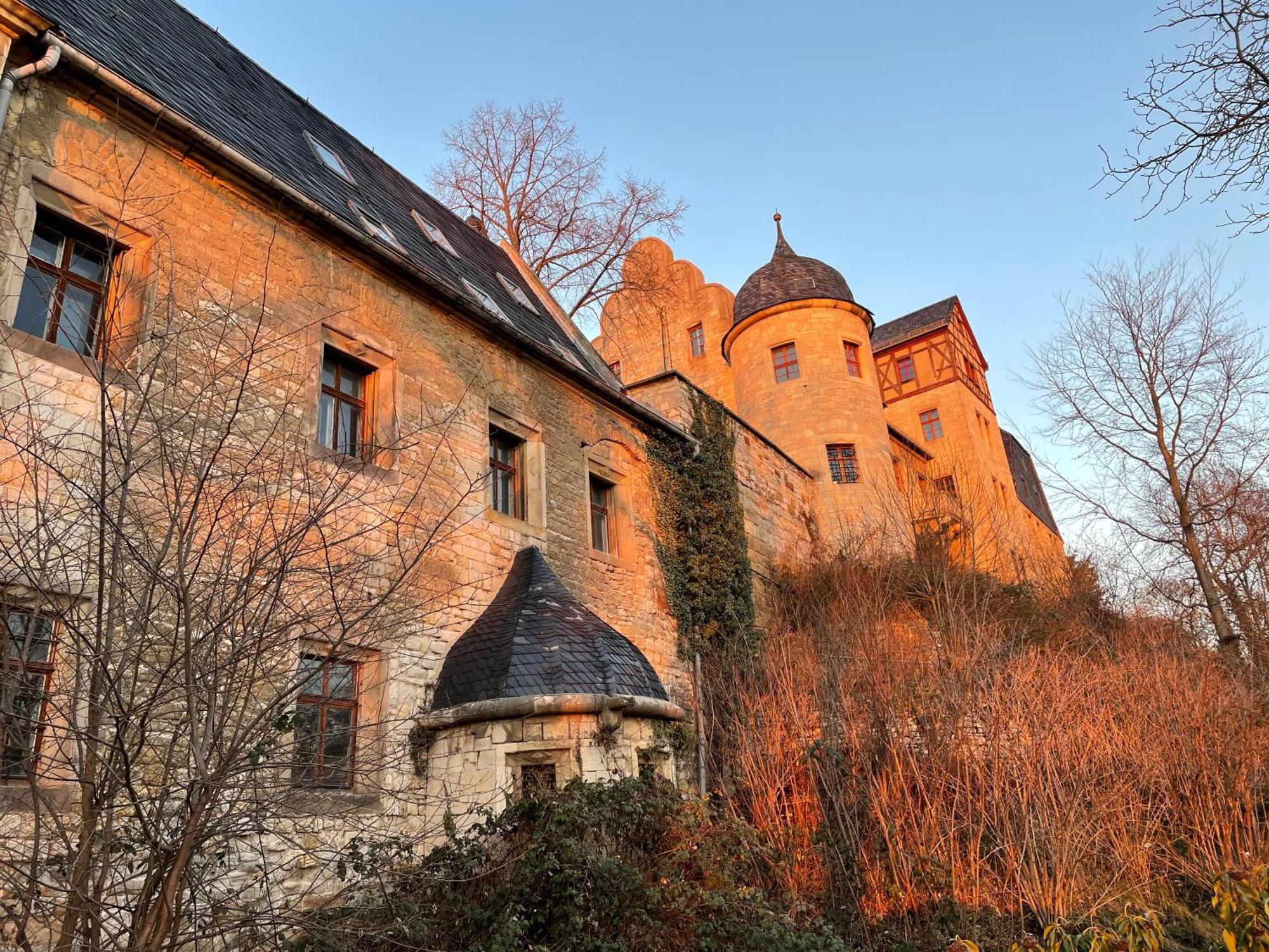 Schloss Beichlingen Zewnętrze zdjęcie