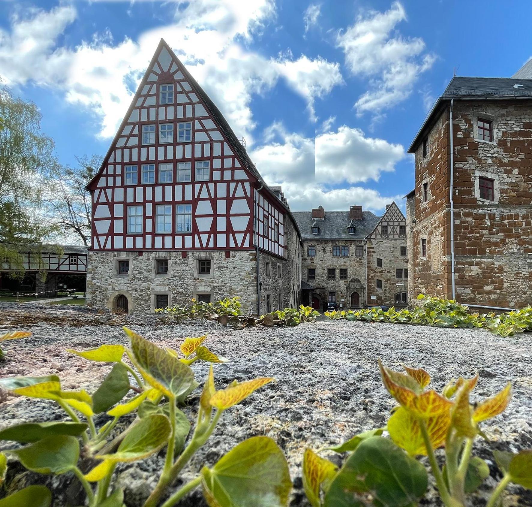 Schloss Beichlingen Zewnętrze zdjęcie