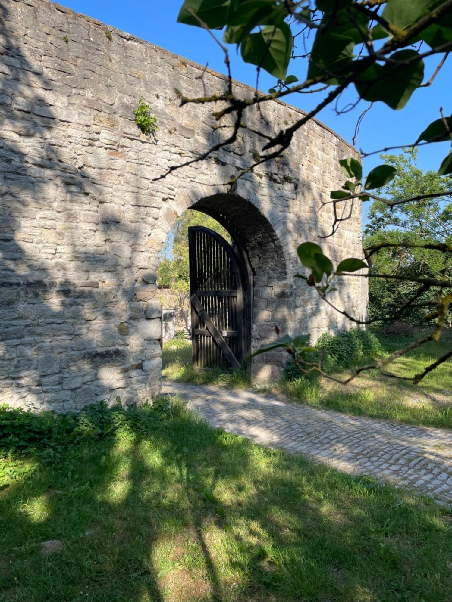 Schloss Beichlingen Zewnętrze zdjęcie