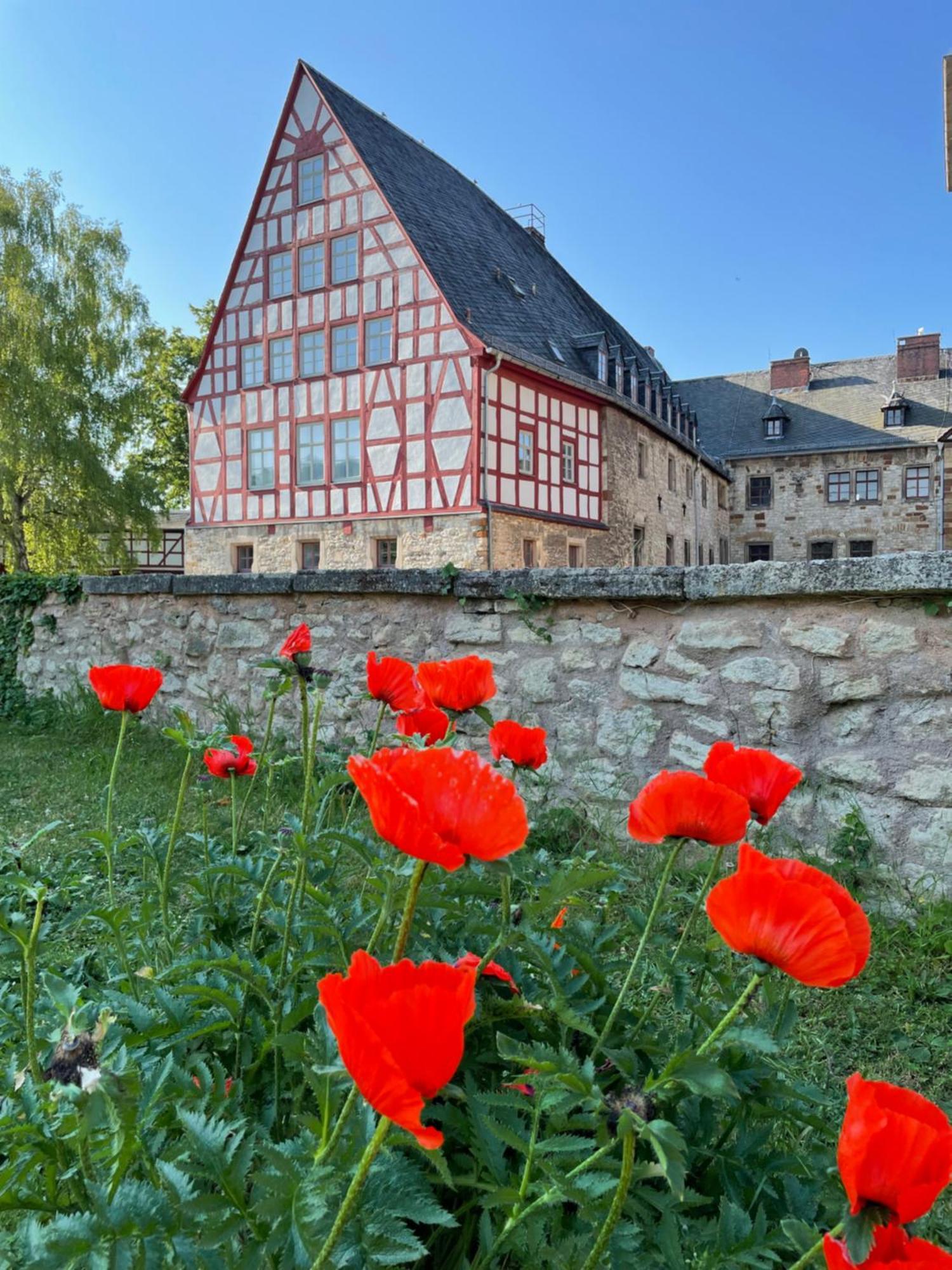 Schloss Beichlingen Zewnętrze zdjęcie
