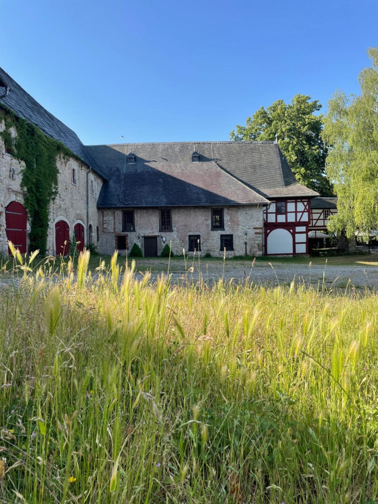 Schloss Beichlingen Zewnętrze zdjęcie