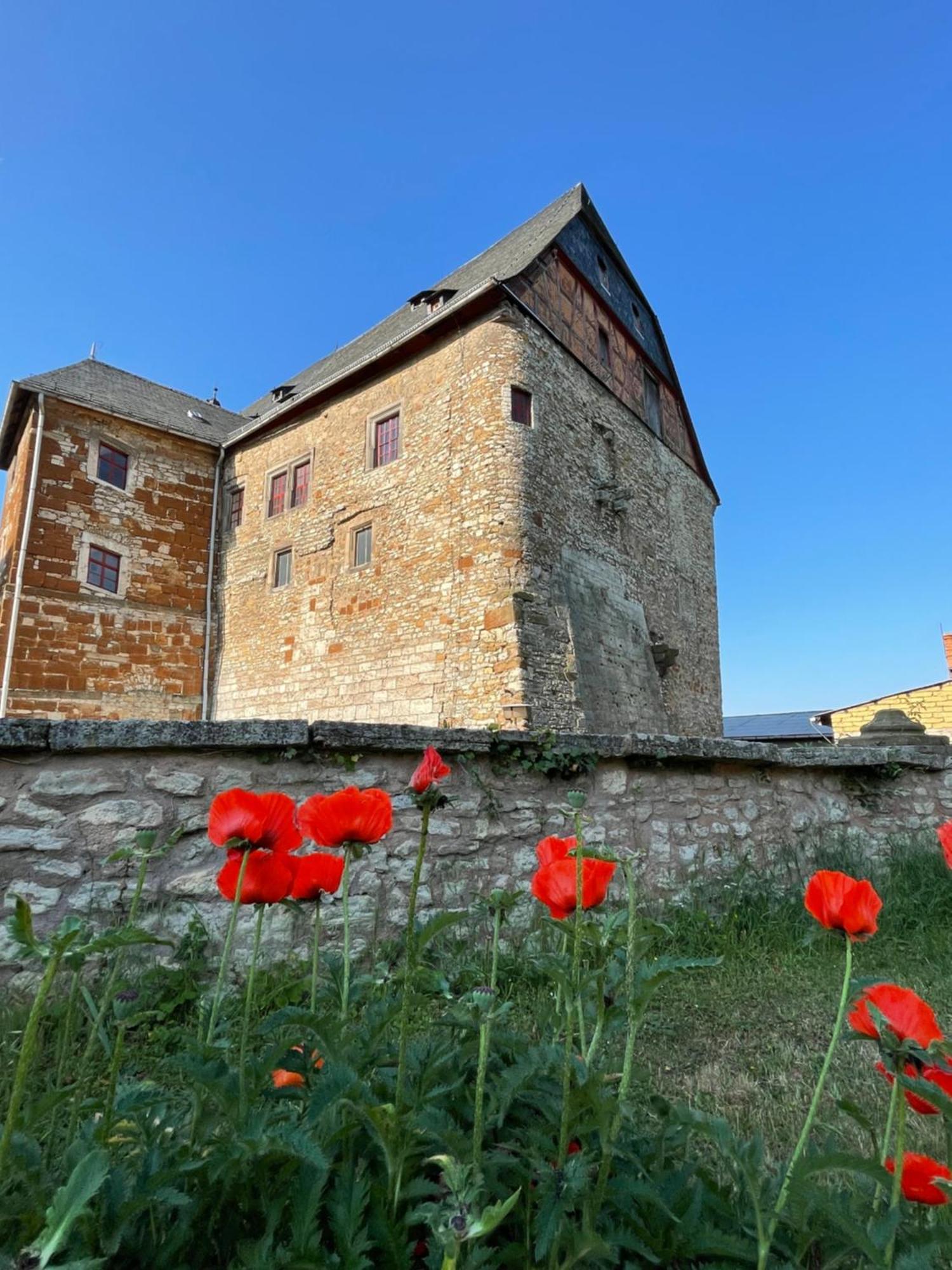 Schloss Beichlingen Zewnętrze zdjęcie