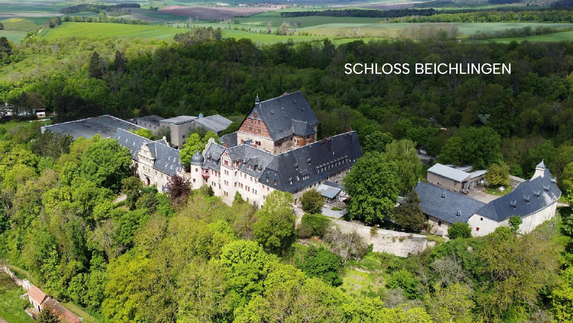 Schloss Beichlingen Zewnętrze zdjęcie