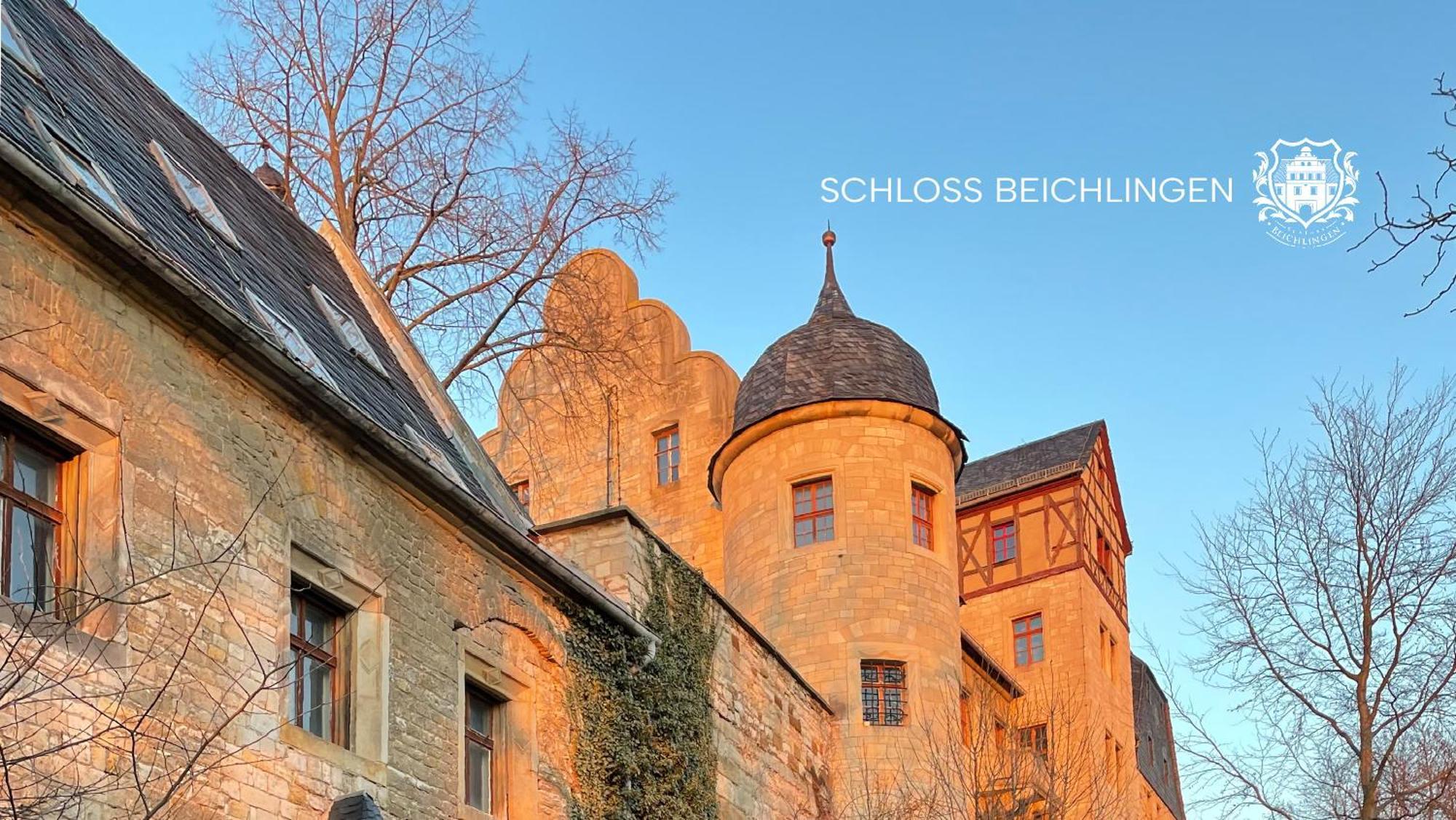 Schloss Beichlingen Zewnętrze zdjęcie